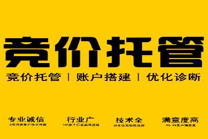 成功企业案例：竞价SEM托管助力业绩腾飞